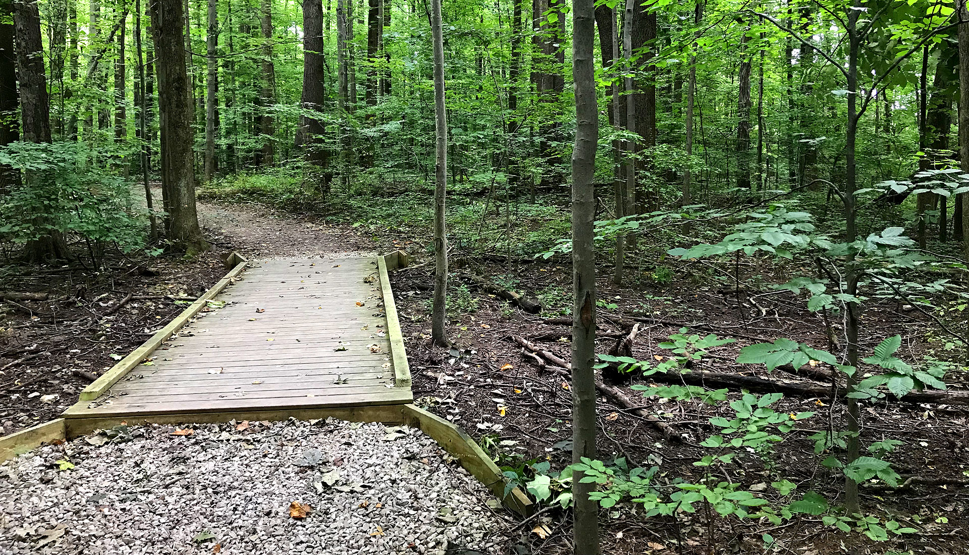 home-www-medinacountyparks