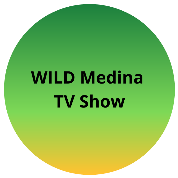 Wild Medina