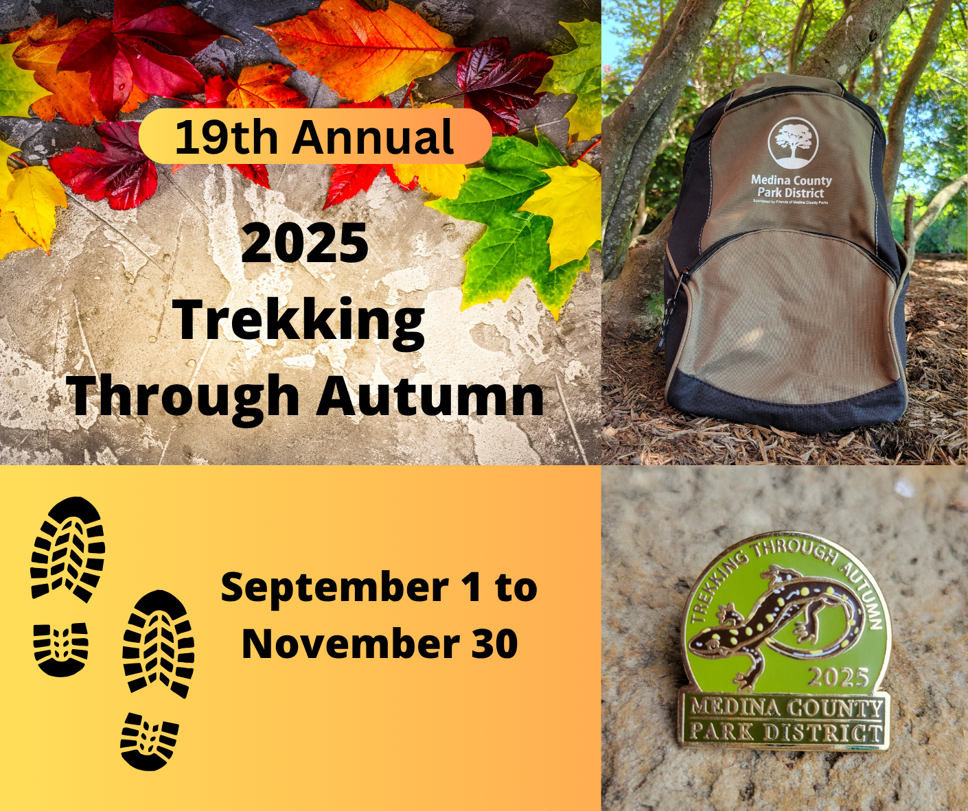 Trekking Through Autumn logo