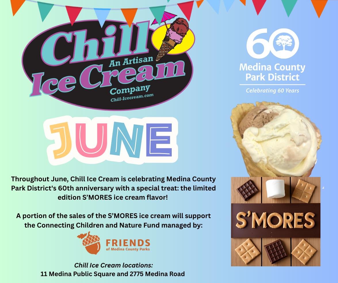 Chill ice cream