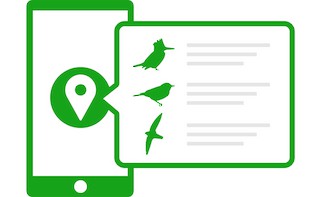 Ebird