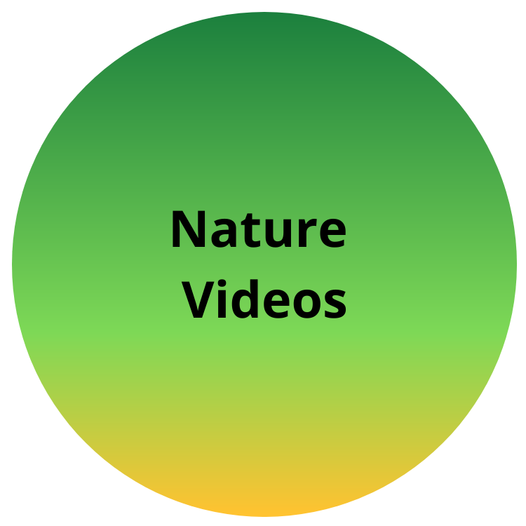 Nature Videos