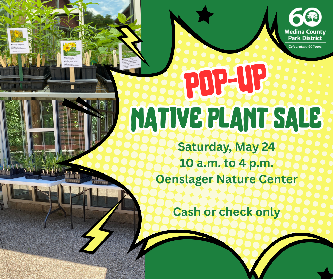 plant sale