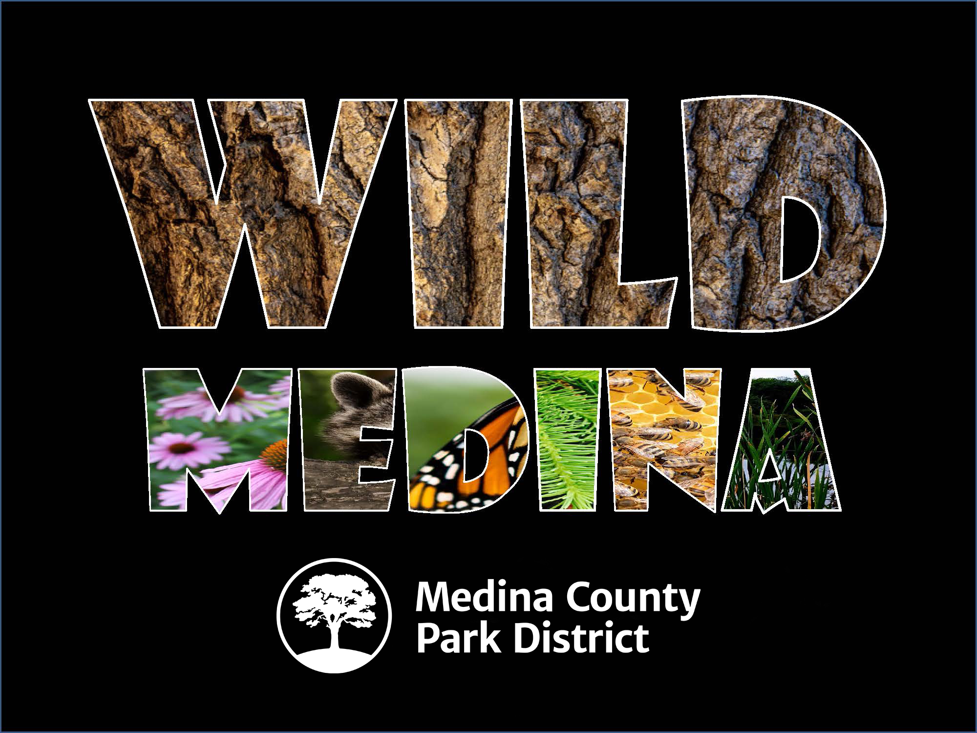 Wild medina regular logo final